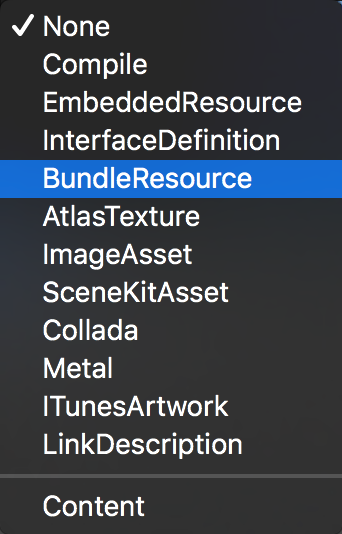 iOS bundle resource